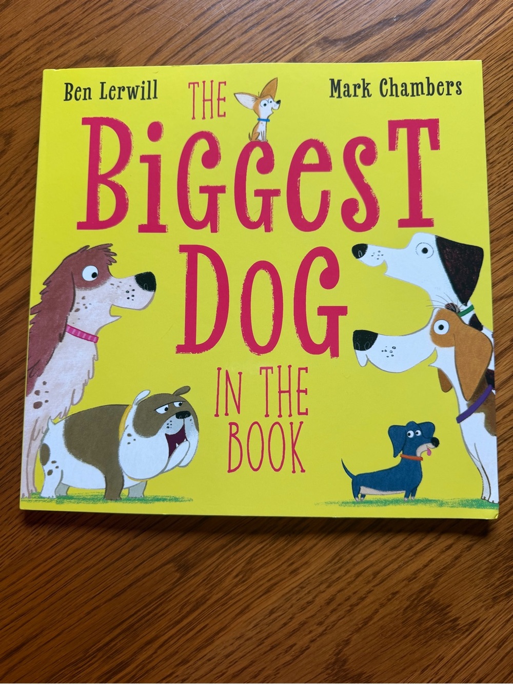 The Biggest Dog in the Book - Yellow Kids Picture Book